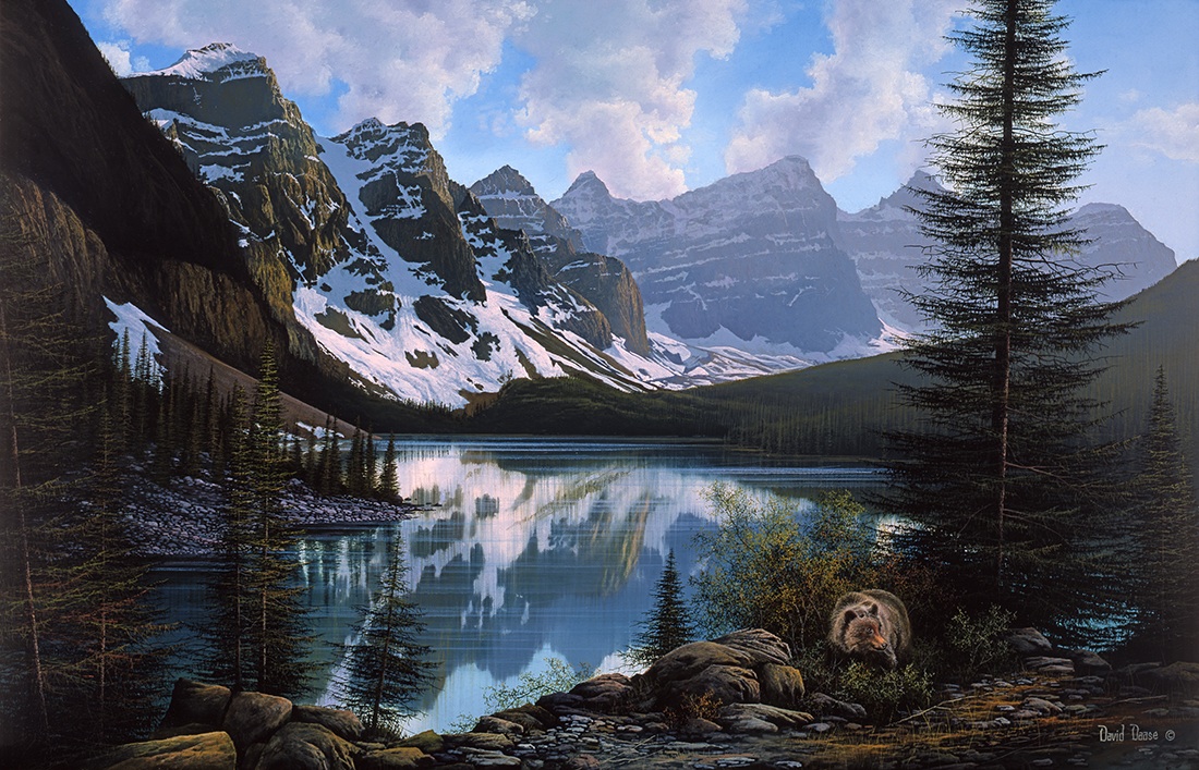 David Daase Moraine Lake Grizzly Bear